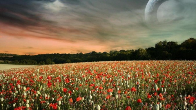 深圳湾爆炸***中的女子有可能跳到下一层吗？